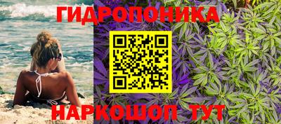 apvp Кизилюрт