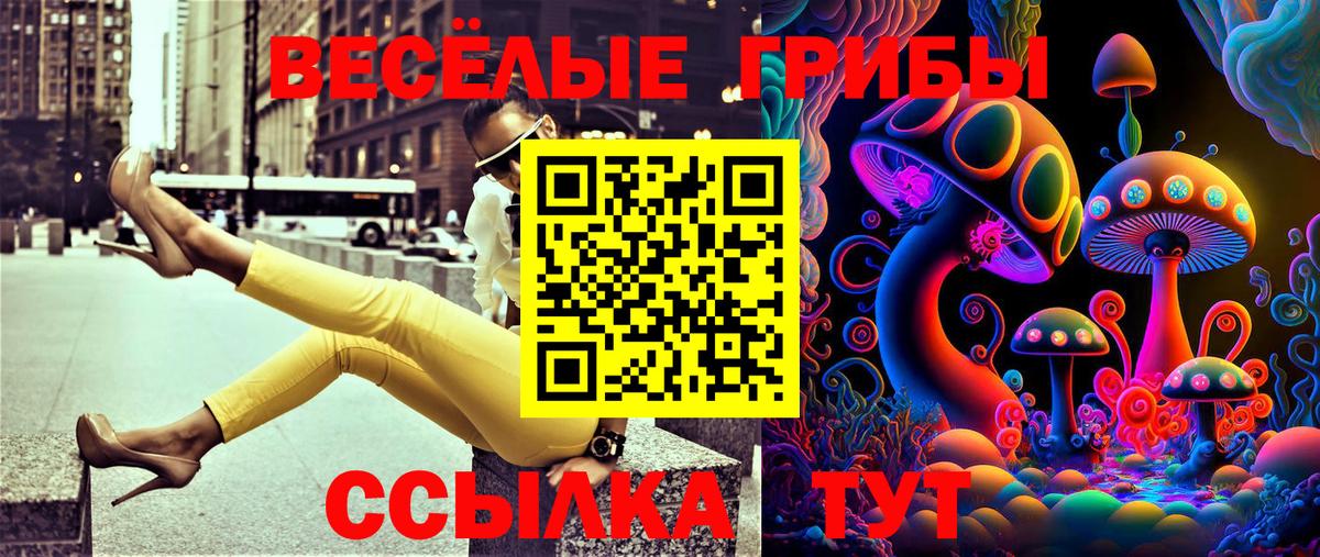 Галлюциногенные грибы ЛСД  Псилоцибиновые грибы мицелий  купить наркоту  Балаково  Вход с VPN 