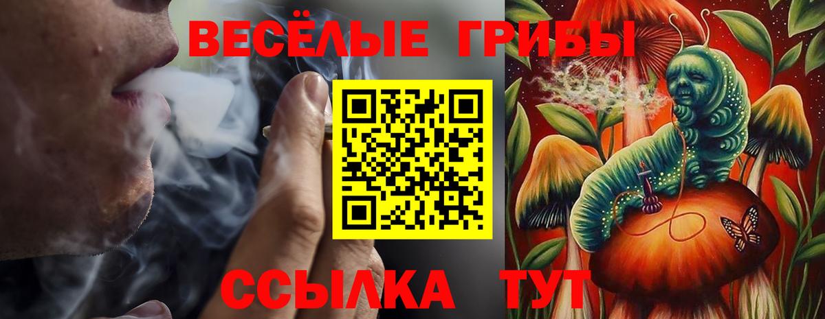 Псилоцибиновые грибы мицелий Балаково